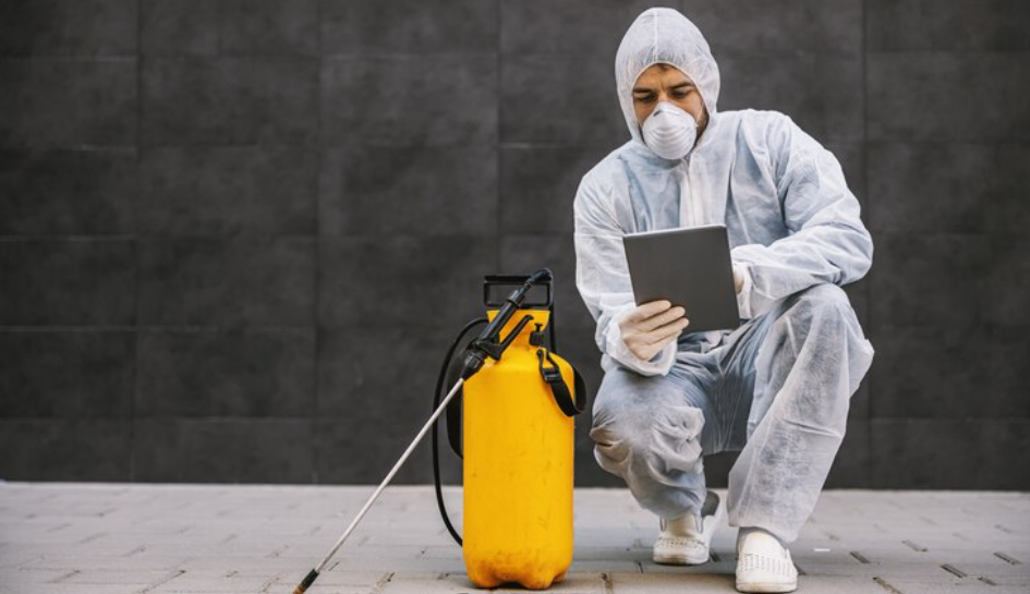 How Pest Control Services Can Protect Your Property from Pest-Related Damage