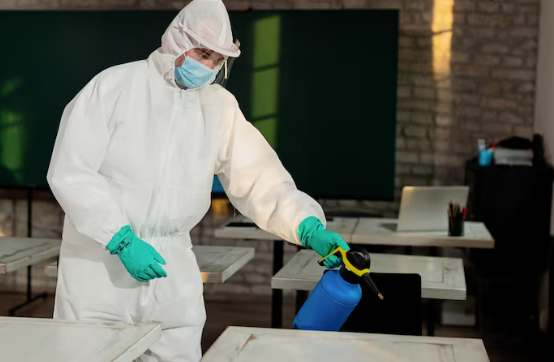 Safeguarding Your Living Space: Essential Factors to Consider When Looking for Mice Control Services
