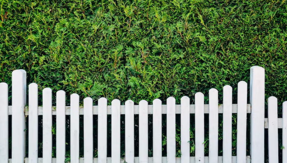 How the Right Fence Supplies Can Improve Your Outdoor Space