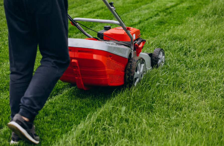 Essential Landscaping Solutions for Maintaining Beautiful Commercial Properties