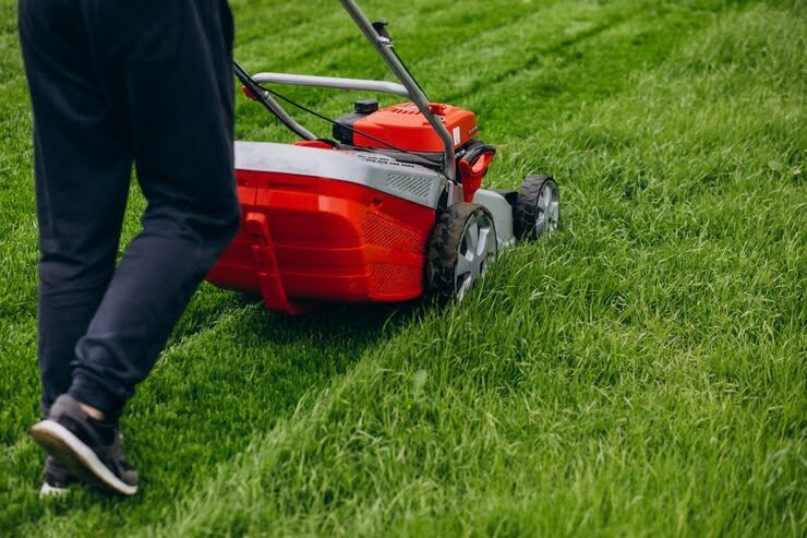 Essential Lawn Maintenance Tips for a Healthy Yard